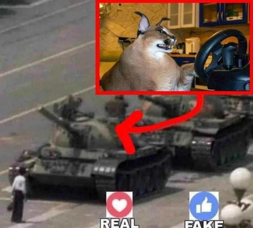REAL
