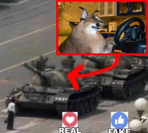 REAL