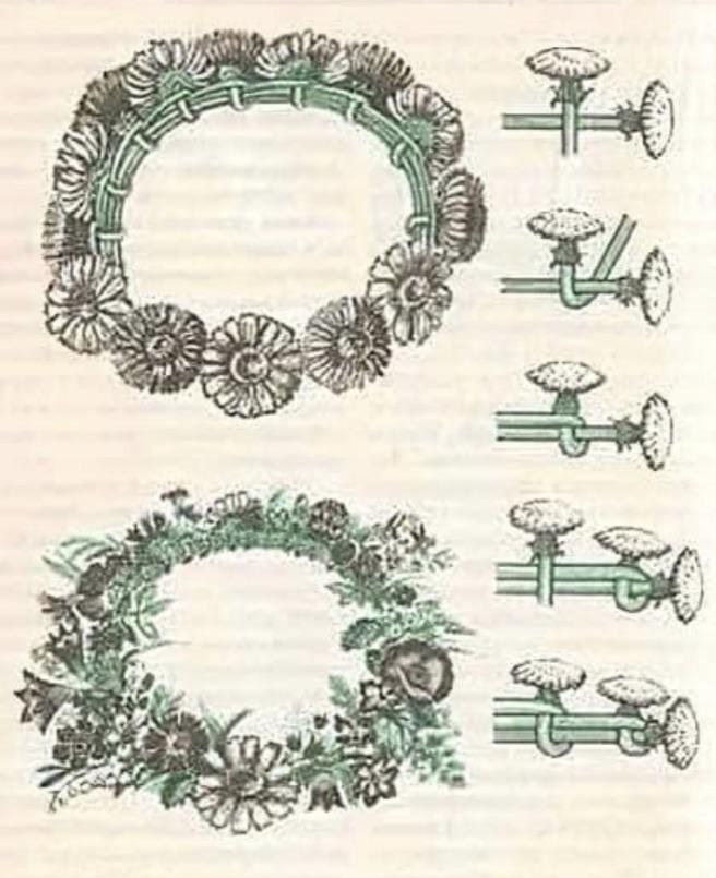 а 4 A 4 SO a5 у С 2 4 a