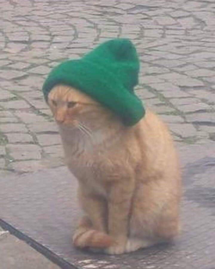 Ну а хуле, не май месяц...
