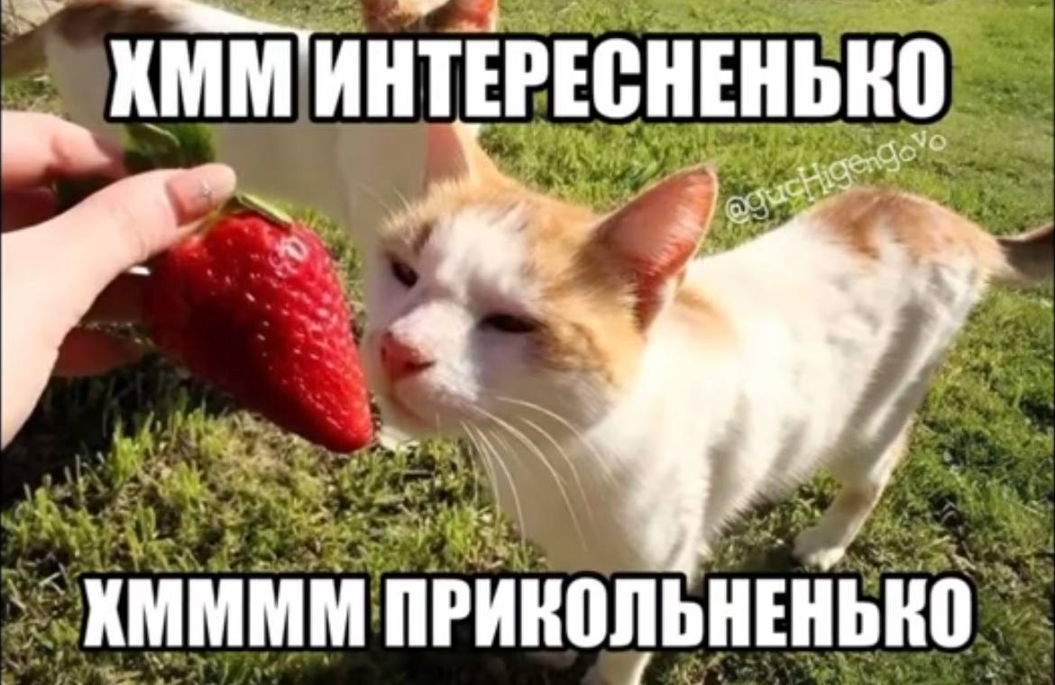 MHTEPECH я и ХММММ