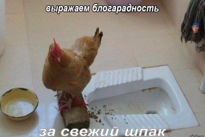 выражаем блогарадность а све пак