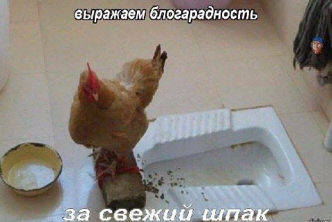 выражаем блогарадность а све пак
