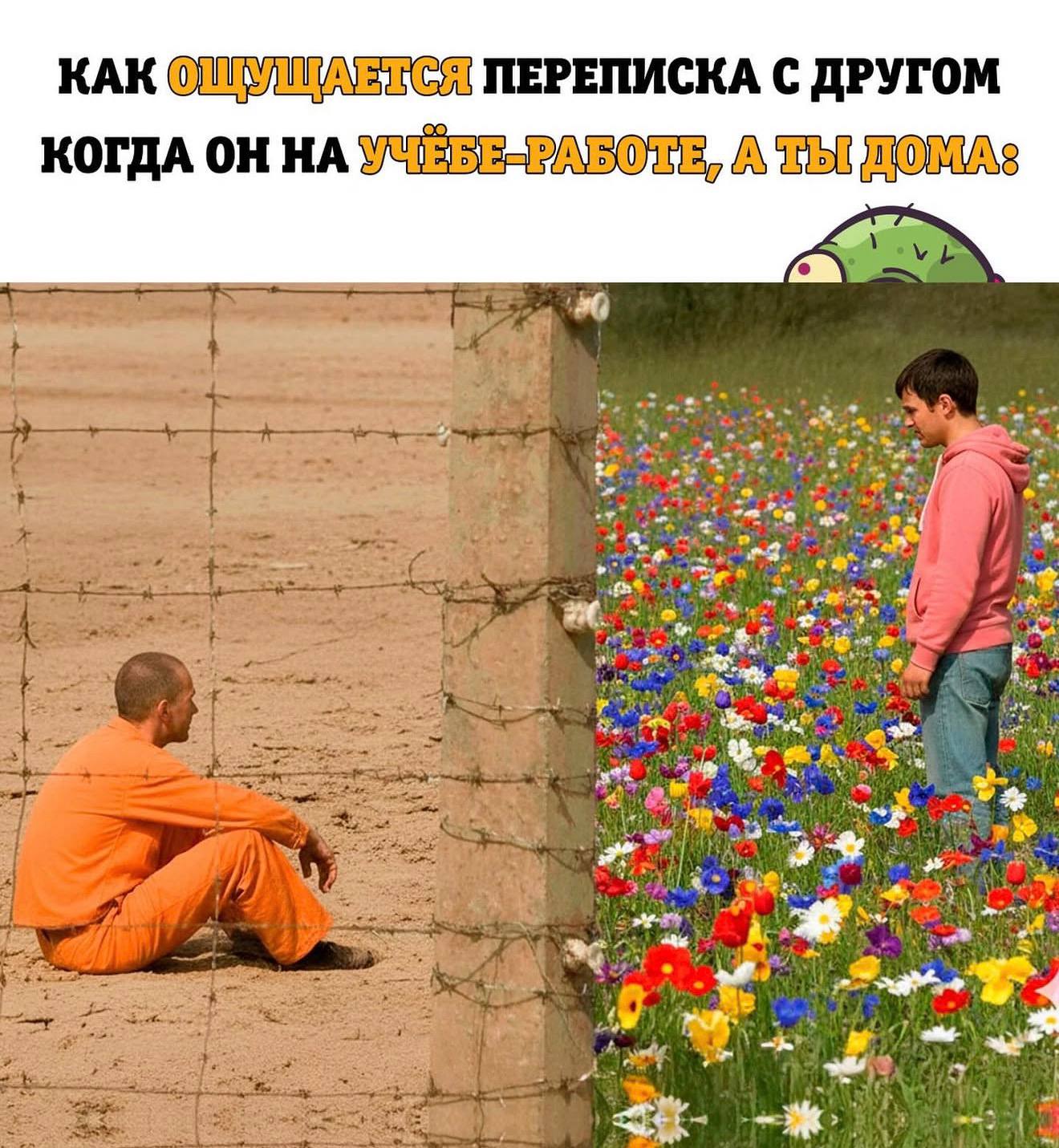 КАК ОЩУЩАЕТСЯ ПЕРЕПИСКА С ДРУГОМ КОГДА ОН YURBE-PABOTE, A ТЫ ДОМА: wtf ago
