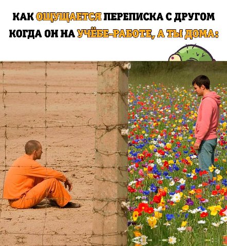 КАК ОЩУЩАЕТСЯ ПЕРЕПИСКА С ДРУГОМ КОГДА ОН YURBE-PABOTE, A ТЫ ДОМА: wtf ago