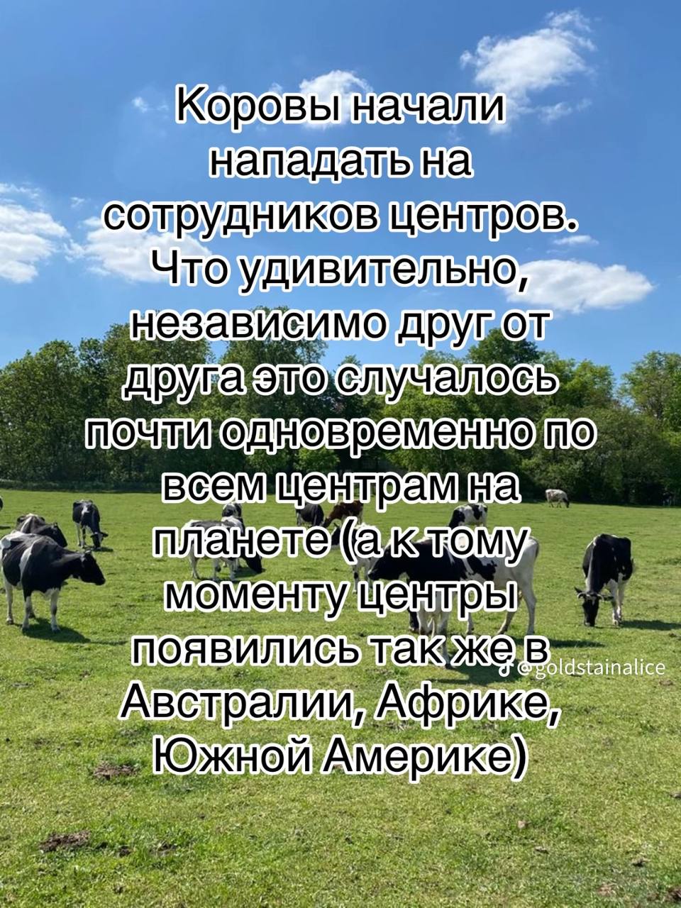 Коровы начали Чтоудивительно, независимо ОСЬ пламетека, OMY, встрали ике)