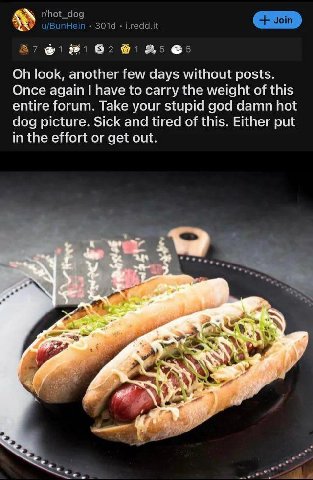 зоз ОН look, another few days without posts. Once again nave to carry the weight of this entire forum. Take your stupid god damn hot dog picture. Sick and tired of this. Either put in the effort or ge