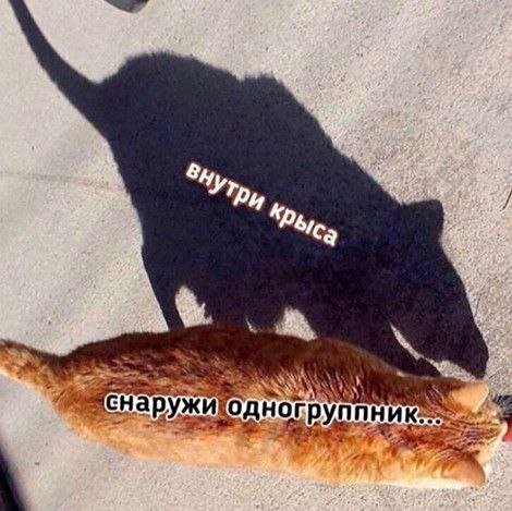 fee 4 Pore 9 У 7. Kee 2.