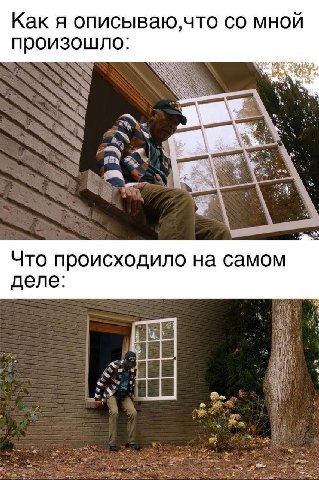 Как я мной произошло: Что происходило на самом деле: