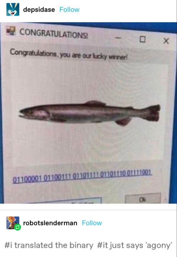 depsidase Follow CONGRATULATIONS! Congratulations. you are our lucky winner! robotslenderman Follow #1 translated the binary #it just says ‘agony’