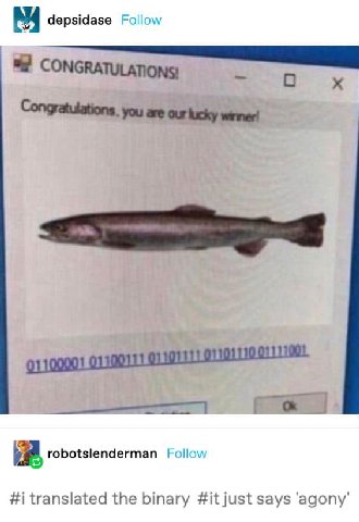 depsidase Follow CONGRATULATIONS! Congratulations. you are our lucky winner! robotslenderman Follow #1 translated the binary #it just says ‘agony’