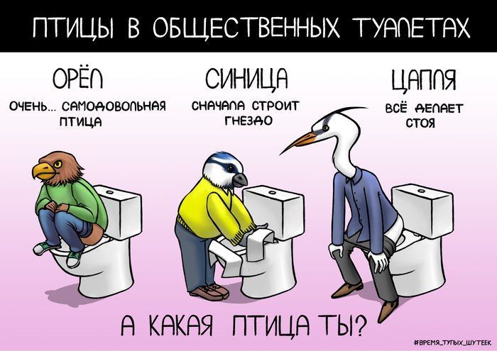 OPEN) СИНИЦА ОЧЕНЬ... ВСЁ А 5% А КАКАЯ ПТИЦА ТЫ? ВРЕМЯ_ТУПЫХ_ШУТЕЕК,
