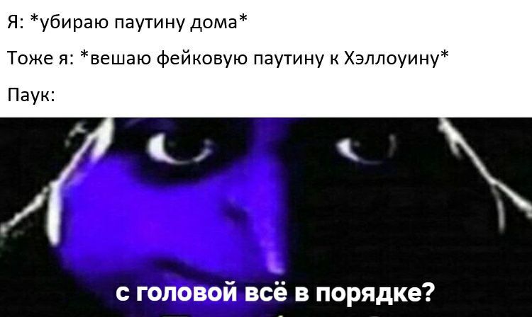 Я: *убираю паутину дома* Тоже я: *вешаю фейковую паутину к Хэллоуину* Паук: с головой всё в порядке?