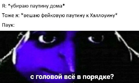 Я: *убираю паутину дома* Тоже я: *вешаю фейковую паутину к Хэллоуину* Паук: с головой всё в порядке?