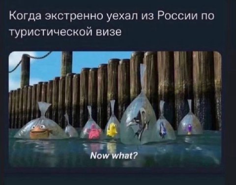 Когда экстренно уехал из России по туристическои визе Now what?