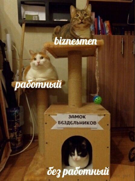 работный без радотный