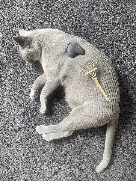 a у, я 7 as и ‘3 pitt a 7 Я 77 у) 6 у
