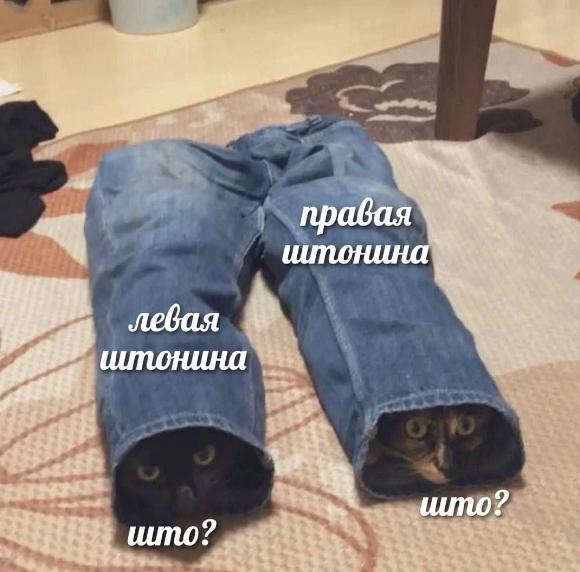 Што?