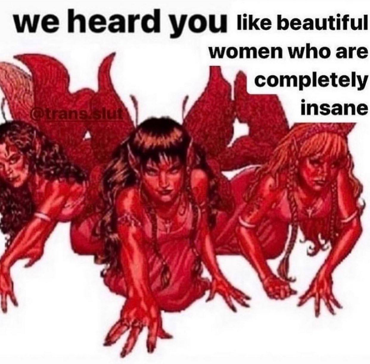 we heard you like beautiful women who are completely insane