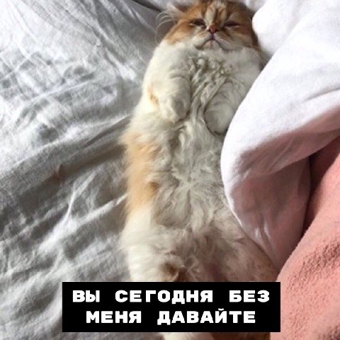 5 $1 и Вы СЕГОДНЯ БЕЗ МЕНЯ ДАВАЙТЕ with