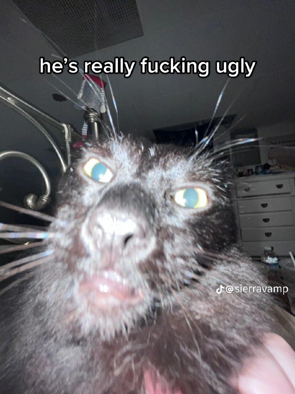 he’s really fucking ugly @sierravamp