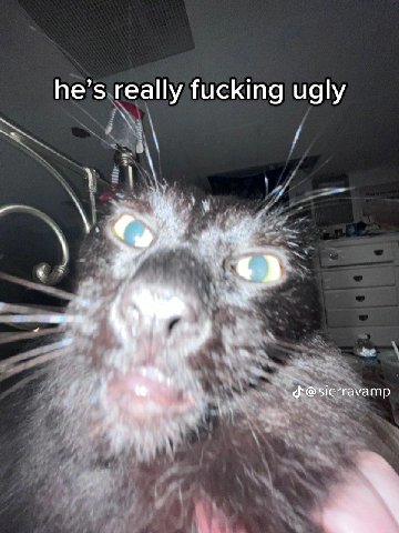 he’s really fucking ugly @sierravamp