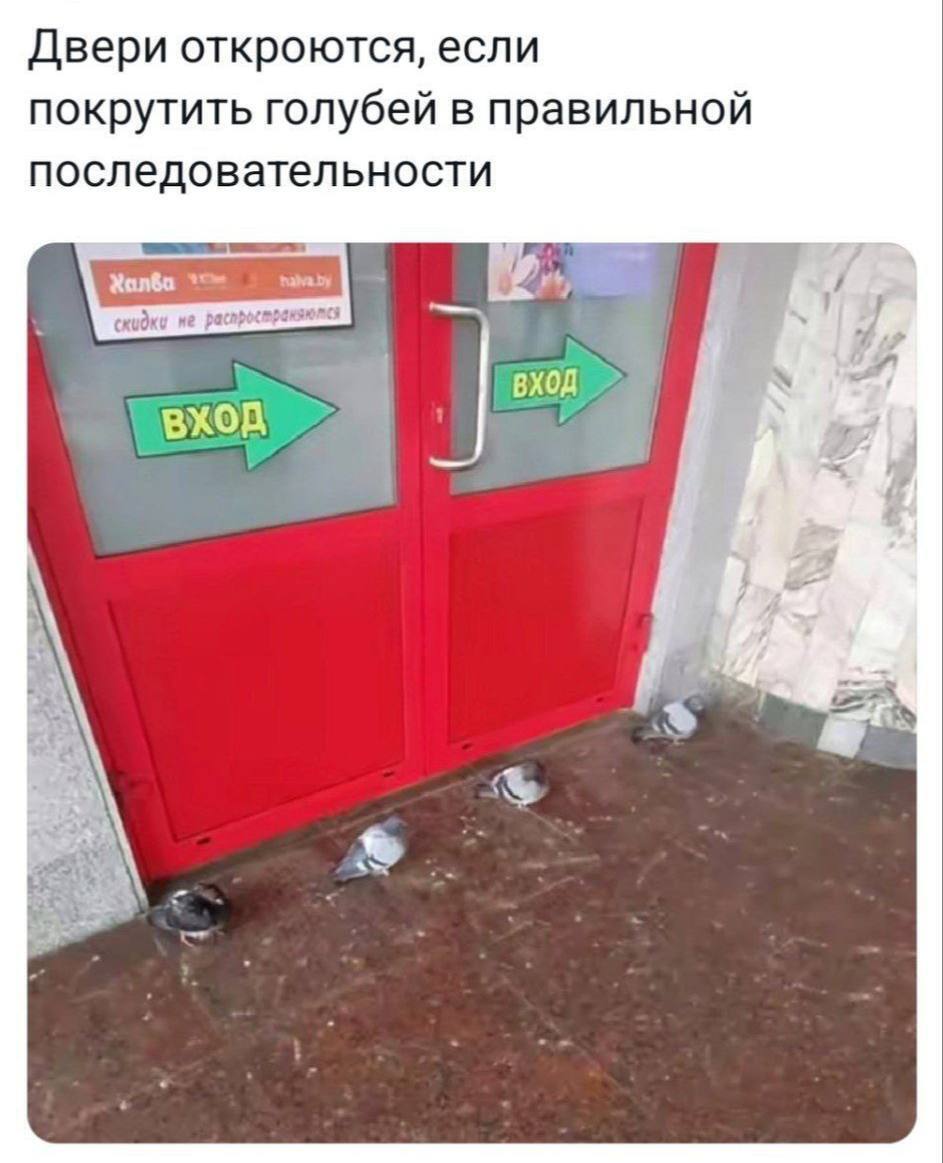 Двери откроются, если покрутить голубей в правильной последовательности скидки не вход i к