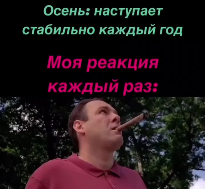 Осень: наступает стабильно каждый год Моя реакция _ каждый раз: