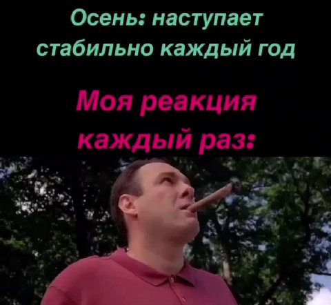 Осень: наступает стабильно каждый год Моя реакция _ каждый раз: