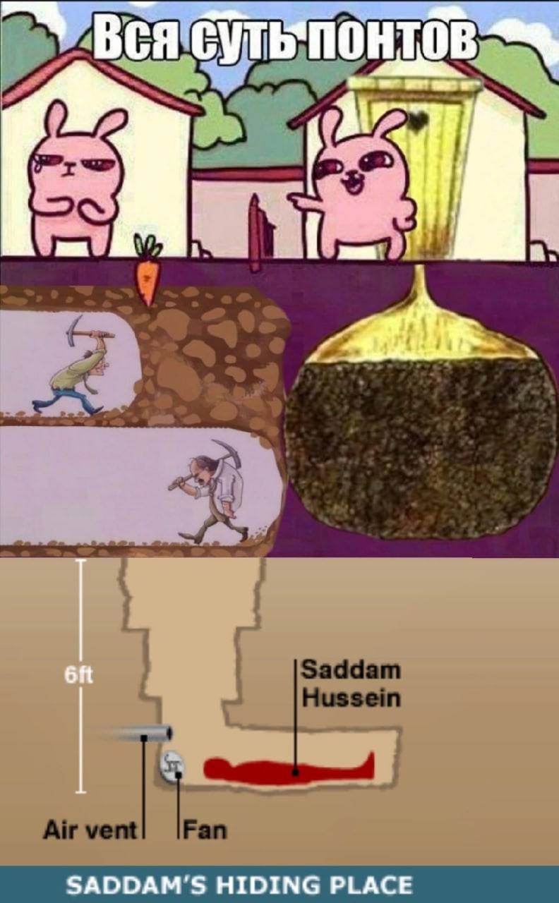 Вся SADDAM'S HIDING PLACE