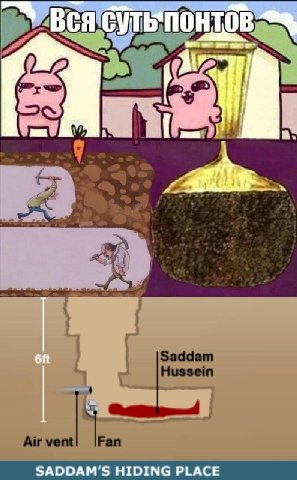 Вся SADDAM'S HIDING PLACE