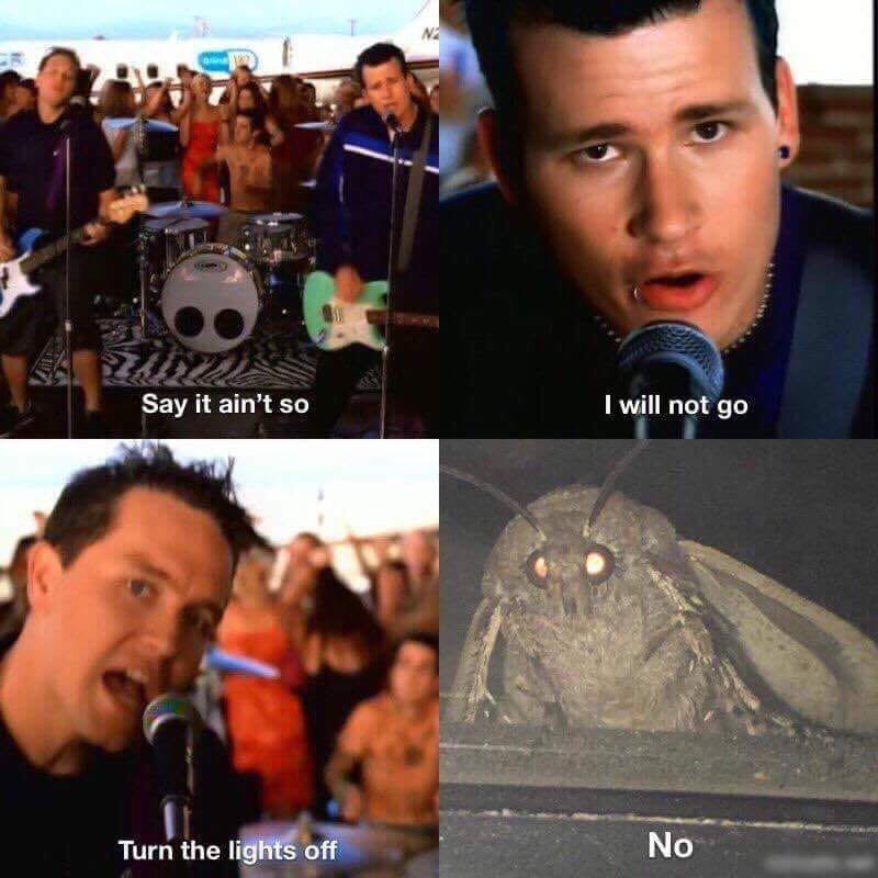 у Say it so I] will not Turn the lights off No