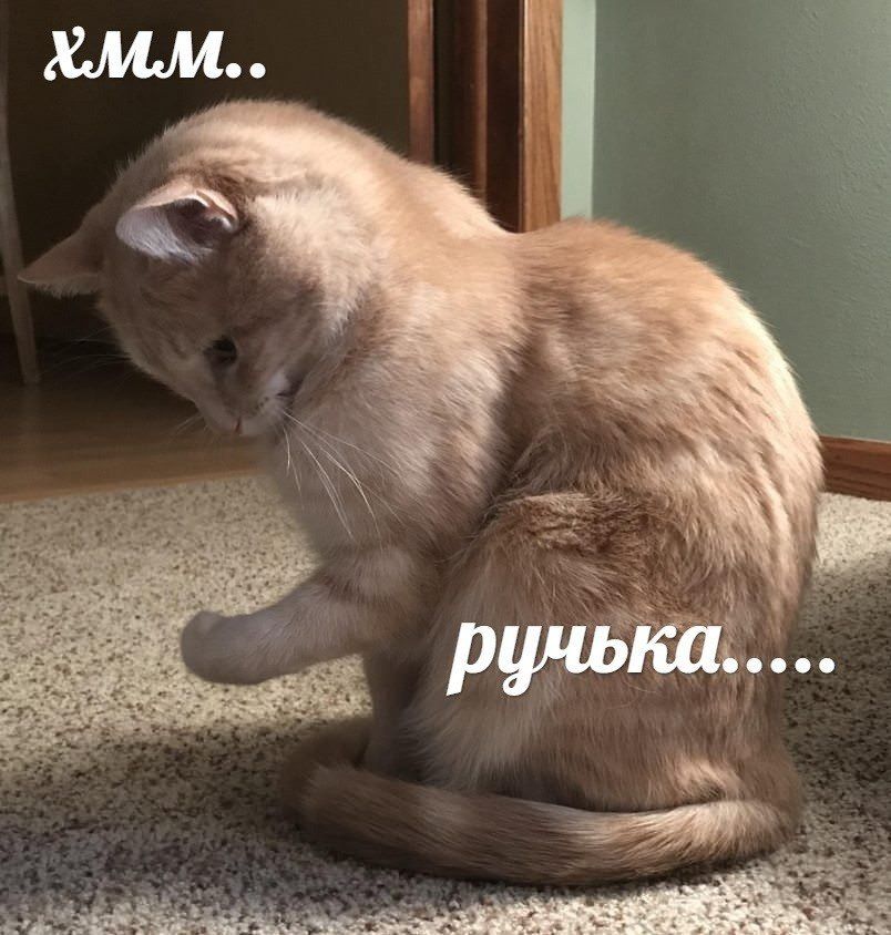 ручька.....