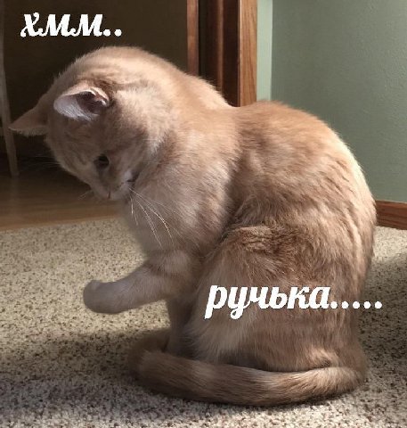 ручька.....
