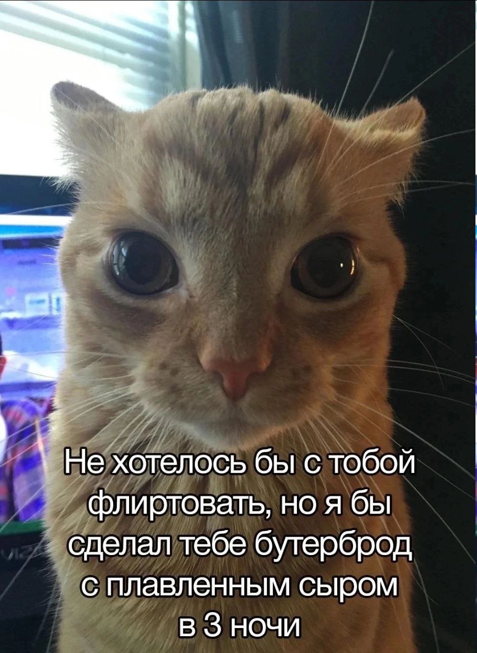Не хотелось бы с тобой флиртовать, но я бы сделал тебе бутерброд с плавленным сыром в 3 ночи