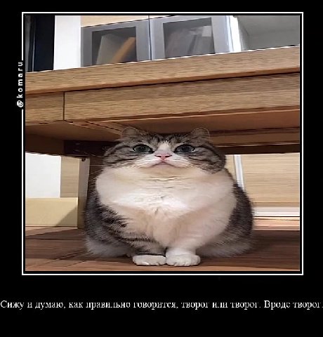 Сижу и думаю, как правильно говорится, творог или творог. Вроде творог.