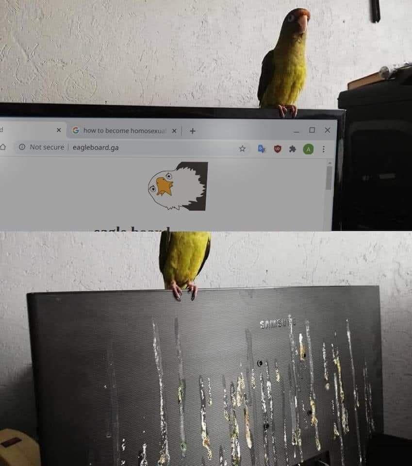 how to become: Notsecure eagleboard.ga it 4