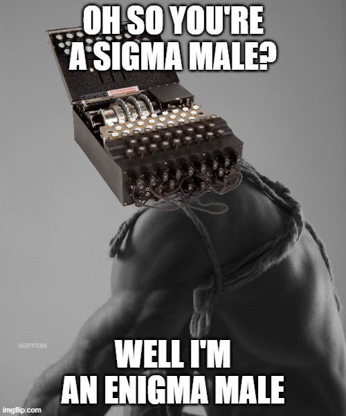 SO YOU'RE A SIGMA MALE? AN ENIGMA MALE