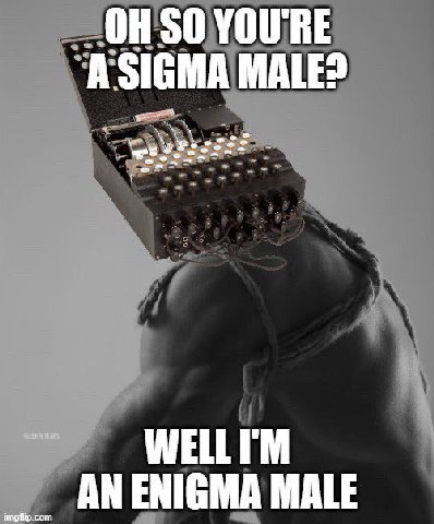 SO YOU'RE A SIGMA MALE? AN ENIGMA MALE