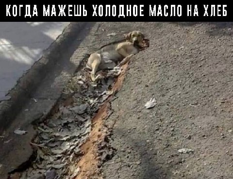 КОГДА МАЖЕШЬ ХОЛОДНОЕ МАСЛО НА ХЛЕБ