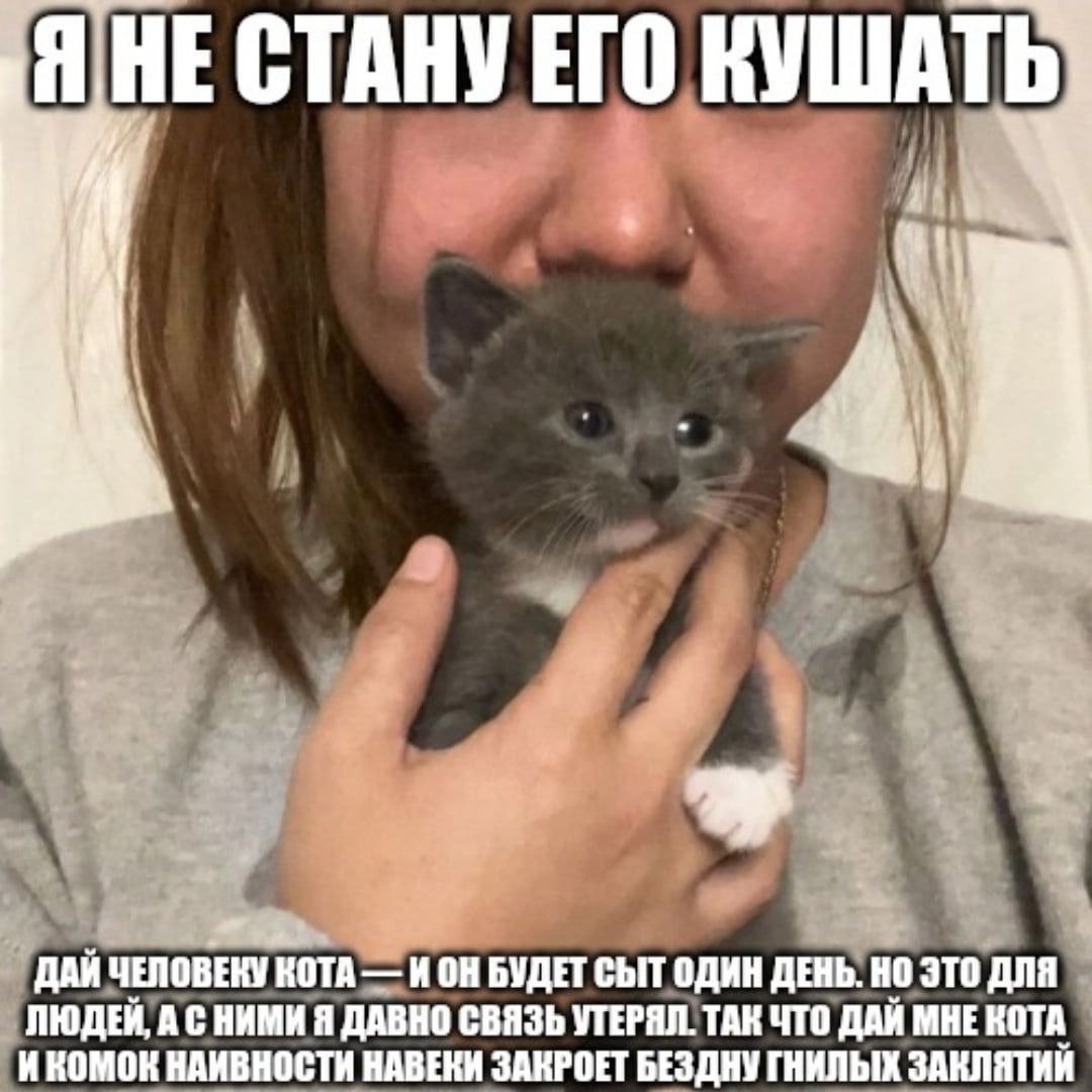 СТАНУ ЕГО a ДАЙ ЧЕЛОВЕКУ КОТА ИОН БУДЕТ СЫТ ОДИН ДЕНЬ. НО ЭТО ДЛЯ ЛЮДЕЙ, А С НИМИ Я ДАВНО СВЯЗЬ УТЕРЯЛ. ТАК ЧТО ДАЙ МНЕ КОТА ИКОМОК НАИВНОСТИ НАВЕКИ ЗАКРОЕТ БЕЗДНУ ГНИЛЫХ ЗАКЛЯТИЙ