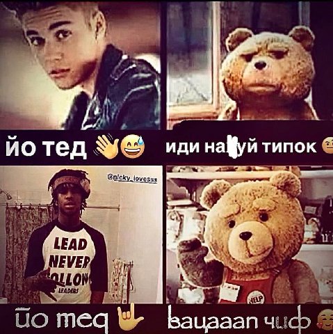 тед иди нафуй типок On LEAD. С neq auaaan