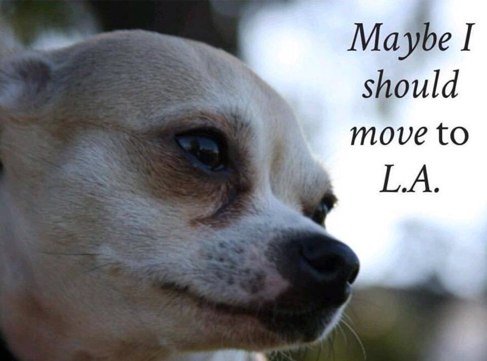 Maybe 1 should move to