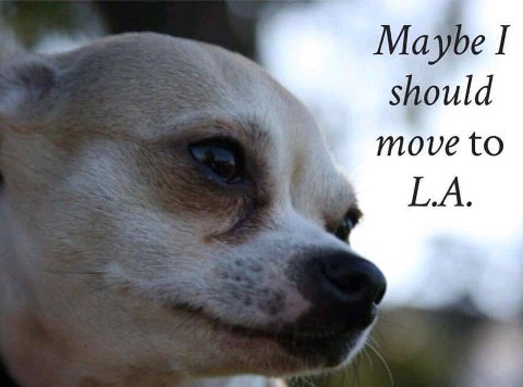Maybe 1 should move to