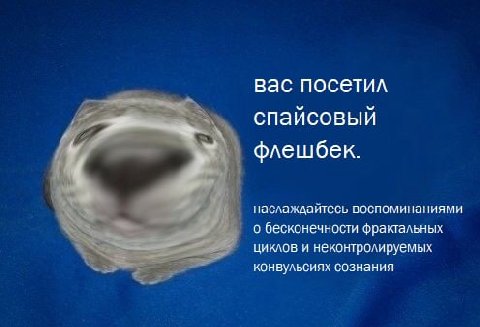 вас посетил спайсовый флешбек. наслаждайтесь воспоминаниями о бесконечности фрактальных циклов и неконтролируемых конвульсиях сознания
