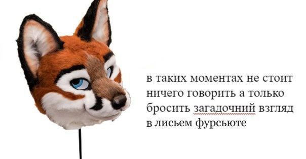 и в таких моментах не стоит 4 ничего говорить а только бросить загадочний взгляд в лисьем фурсьюте