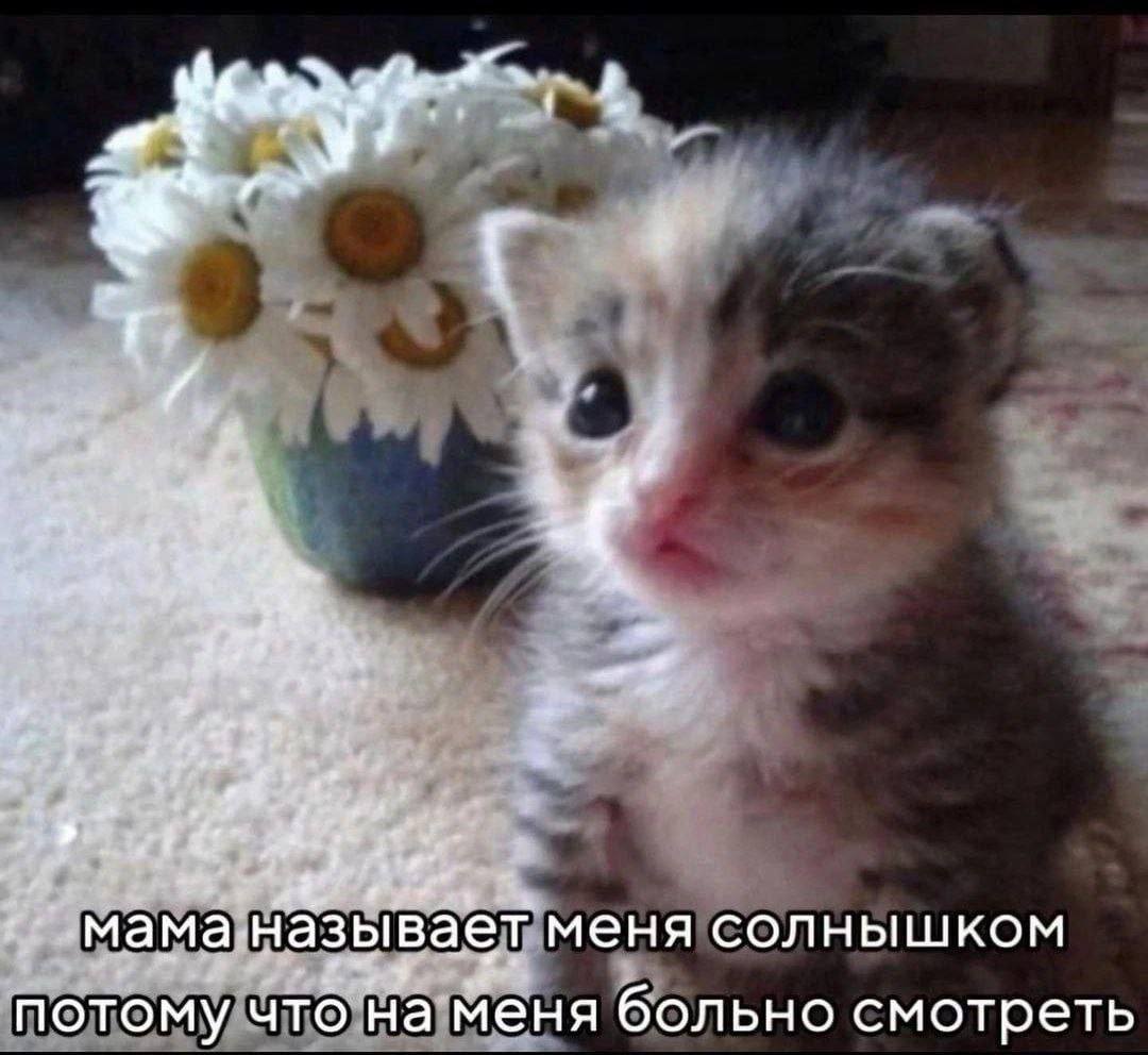 В 7 мама.называет меня солнышком потому что на меня больно смотреть