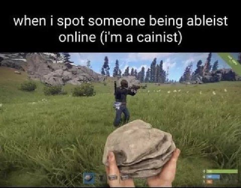 when i spot someone being ableist online a cainist)