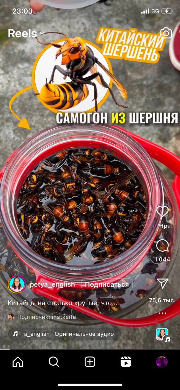 Бжжж, блядь.