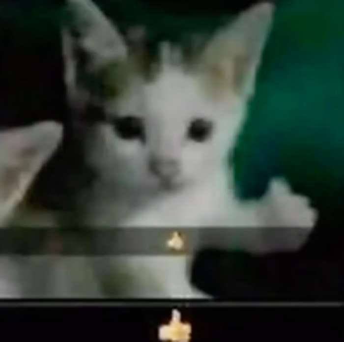 3 i